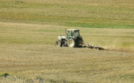 Traktor na polu